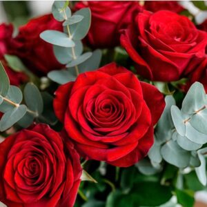 Букет «Алый вечер»