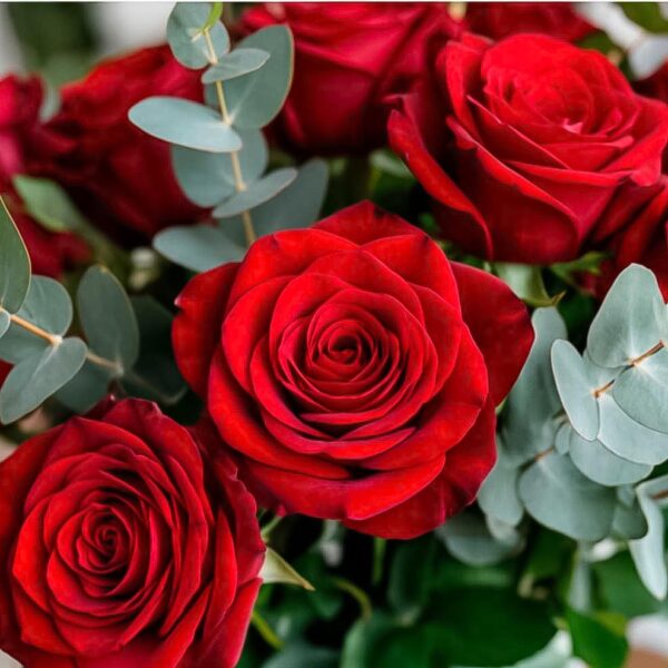 Букет «Алый вечер»